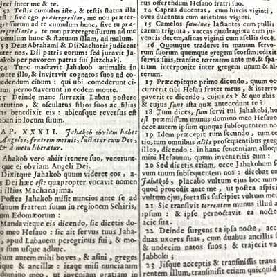 Lot 253 - Biblia Sacra, 1680.