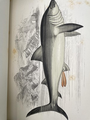 Lot 135 - JONATHAN COUCH. 'A History of the Fishes of...