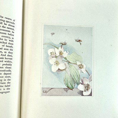 Lot 199 - MAURICE MAETERLINCK. 'The Life of the Bee,'...