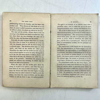 Lot 55 - Mrs LOUDON. 'The First Book of Botany,' 12mo,...