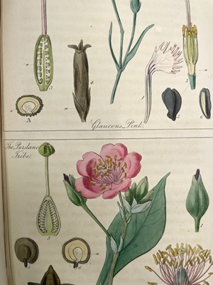 Lot 52 - JOHN LINDLEY. 'Ladies Botany: or A Familiar...