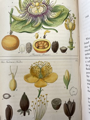 Lot 52 - JOHN LINDLEY. 'Ladies Botany: or A Familiar...