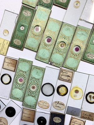 Lot 347 - A collection of 33 Victorian microscope slides,...