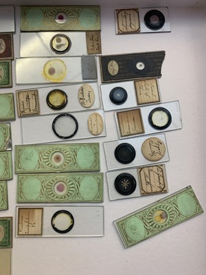 Lot 347 - A collection of 33 Victorian microscope slides,...