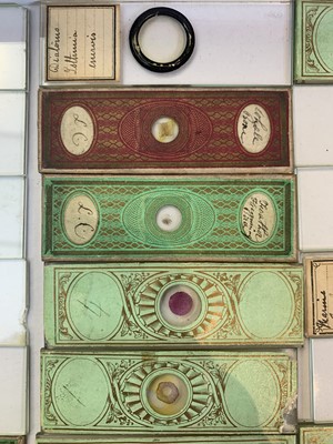 Lot 347 - A collection of 33 Victorian microscope slides,...