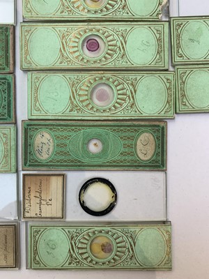 Lot 347 - A collection of 33 Victorian microscope slides,...