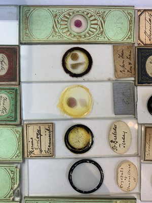 Lot 347 - A collection of 33 Victorian microscope slides,...