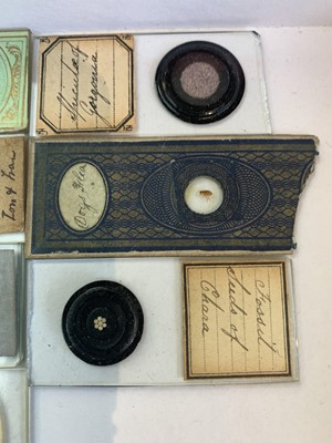 Lot 347 - A collection of 33 Victorian microscope slides,...