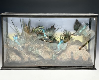 Lot 255 - Taxidermy, A cased group of four preserved...
