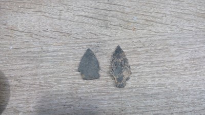 Lot 24 - Two Neolithic arrow heads, the longest 5.5cm.