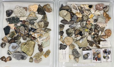 Lot 318 - An interesting selection of ammonite fossils,...