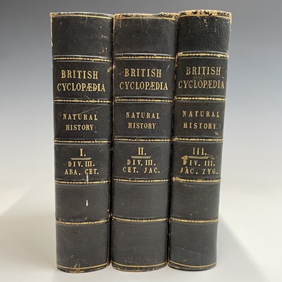 Lot 49 - NATURAL HISTORY. 'The British Cyclopaedia of...