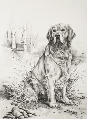 Lot 1499 - Simon GUDGEON (1958) Golden Retriever Signed...