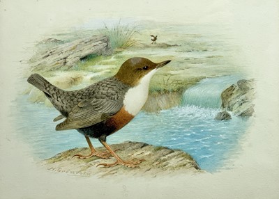 Lot 790 - Henrik GRÖNVOLD (1858-1940) A white throated...