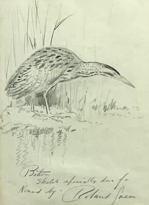 Lot 724 - Roland GREEN (1896-1972) Bittern Pencil Signed...