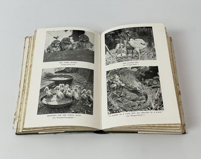 Lot 51 - NANCY PRICE. 'Jack by the Hedge,' proof copy,...