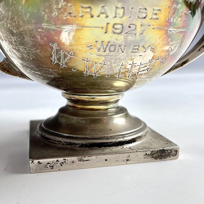 Lot 33 - A George V silver twin handle pedestal trophy...