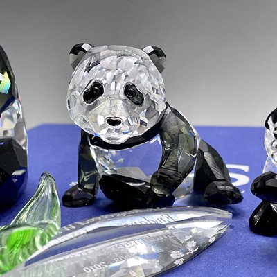 Lot 217 - Swarovski Crystal Endangered Wildlife Pandas,...
