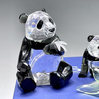 Lot 217 - Swarovski Crystal Endangered Wildlife Pandas,...