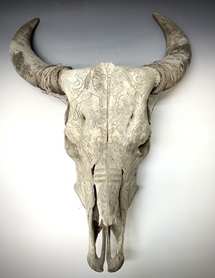 Lot 428 - A water buffalo skull with horns, carved with...