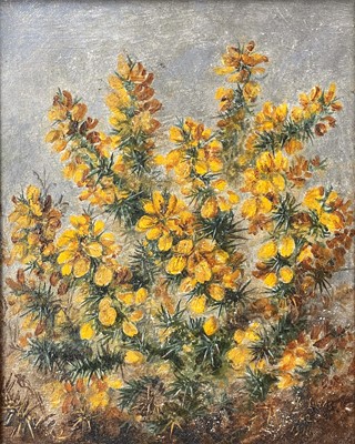 Lot 1455 - Albert Dürer LUCAS (1828-1918) Gorse Oil on...