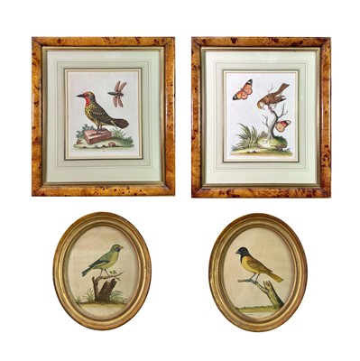 Lot 1589 - A pair of oval gilt framed prints of exotic...