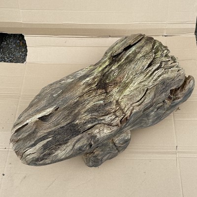 Lot 606 - An elm large carving of a toad, length 76cm.