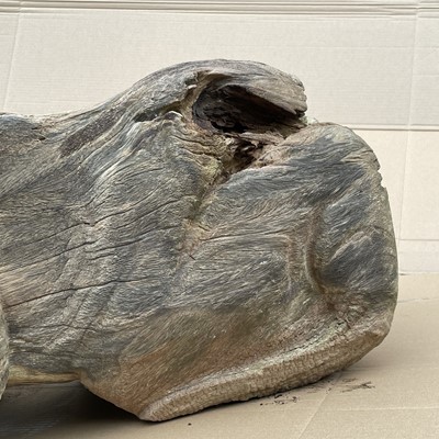 Lot 606 - An elm large carving of a toad, length 76cm.