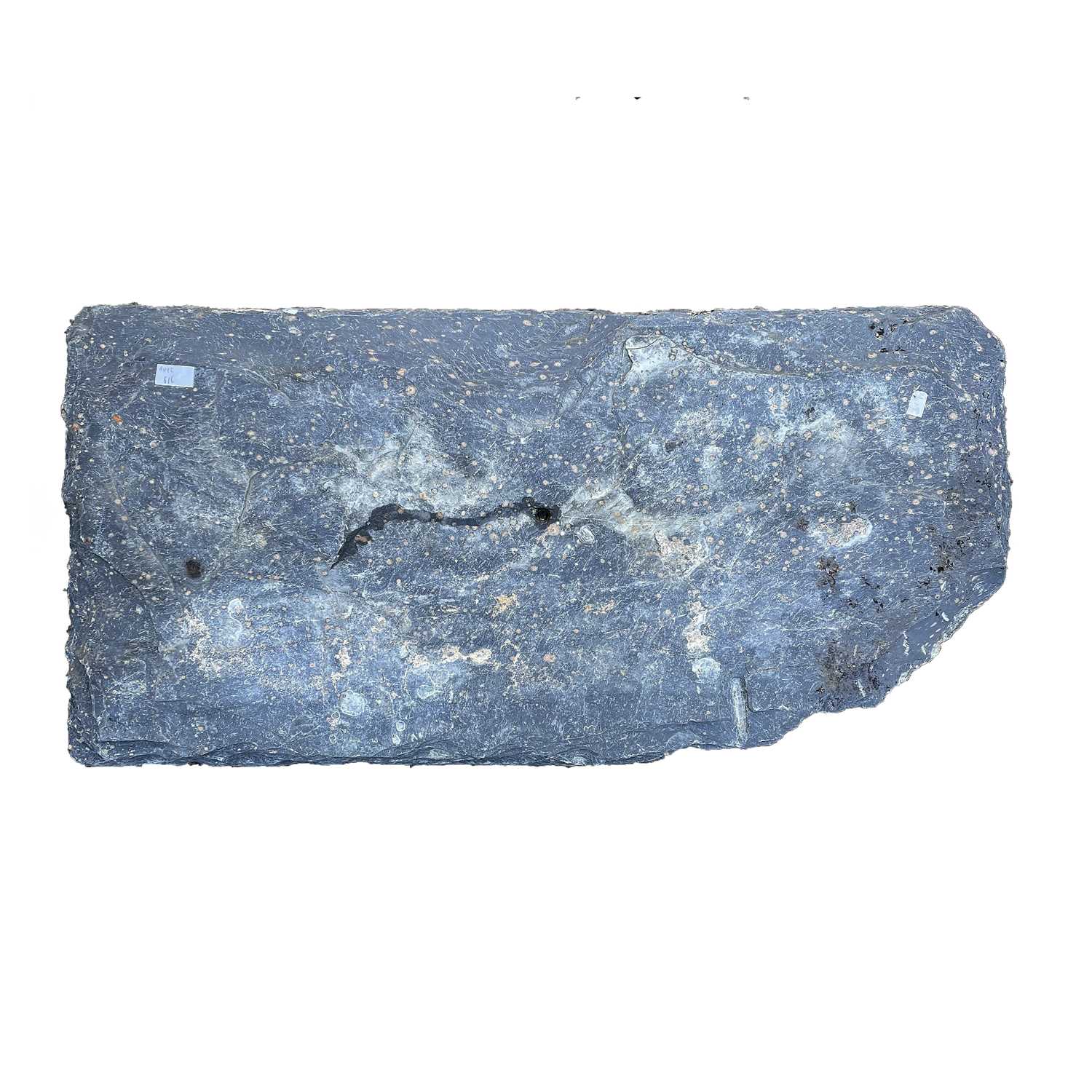 Lot 616 - A slab of slate with riven finish, length