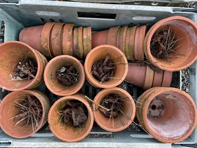 Lot 629 - Three crates of terracotta plant pots of...