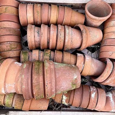 Lot 630 - Three crates of terracotta plant pots of...