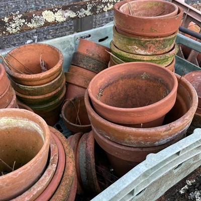 Lot 630 - Three crates of terracotta plant pots of...