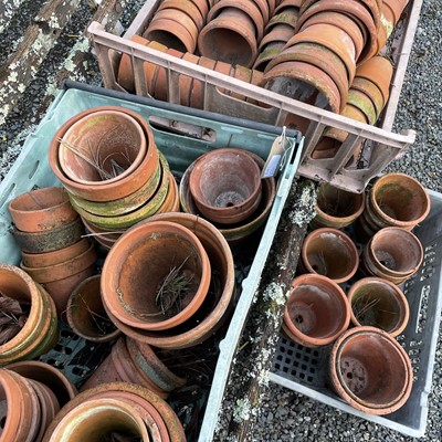 Lot 630 - Three crates of terracotta plant pots of...