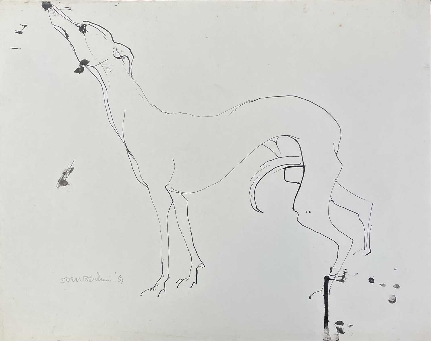 Lot 155 - Sven BERLIN (1911-1999) Whippet Ink drawing...