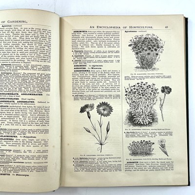 Lot 334 - GEORGE NICHOLSON. 'The illustrated dictionary of gardening,'