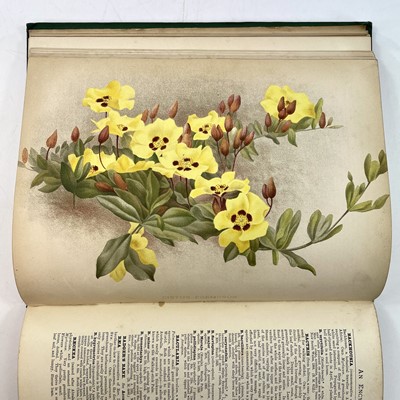 Lot 334 - GEORGE NICHOLSON. 'The illustrated dictionary of gardening,'