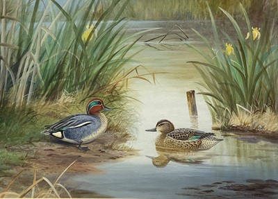 Lot 607 - Richard ROBJENT (1937) 'Male and Female Teal'...