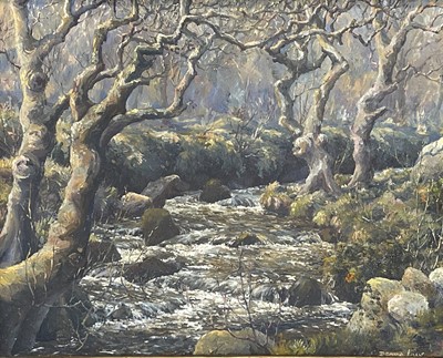 Lot 455 - Denys LAW (1907-1981) Woodland Stream Oil on...