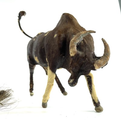 Lot 173 - An unusual hide covered figure of a buffalo,...