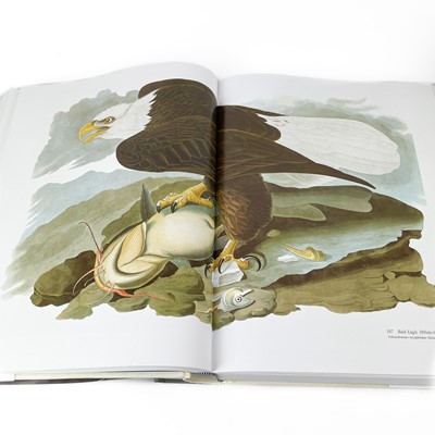 Lot 368 - Audubon illustrations.