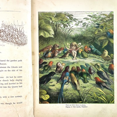 Lot 298 - RICHARD DOYLE Illustrations. 'The Princess...