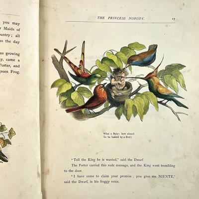 Lot 298 - RICHARD DOYLE Illustrations. 'The Princess...