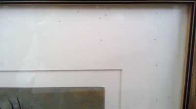 Lot 601 - Desmond MORRIS (1928) Ascetic Vision Mixed...