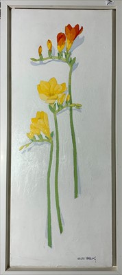 Lot 589 - Sasha HARDING (b.1949) Flower Stalks Oil on...