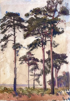 Lot 161 - Eleanor HUGHES (1882-1959) Pine trees...