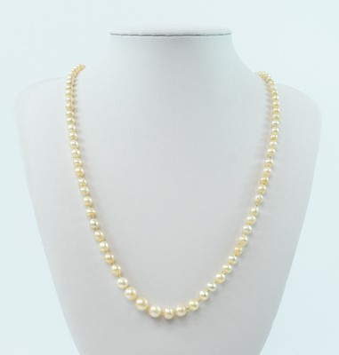 Lot 196 - A natural pearl graduated necklace with white gold diamond set clasp