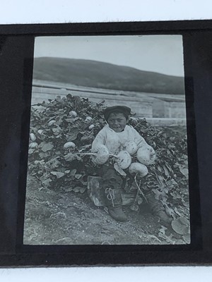 Lot 293 - Inuit interest, 66 magic lantern slides, early...