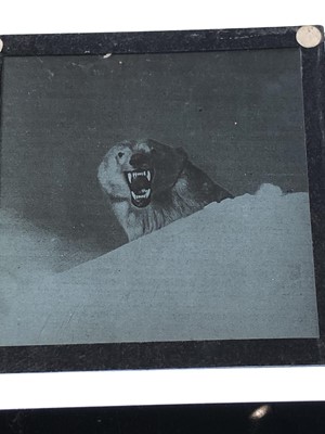 Lot 293 - Inuit interest, 66 magic lantern slides, early...