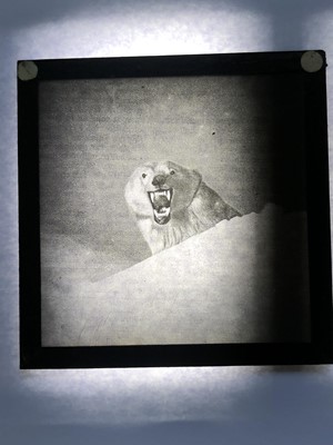 Lot 293 - Inuit interest, 66 magic lantern slides, early...