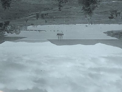 Lot 293 - Inuit interest, 66 magic lantern slides, early...